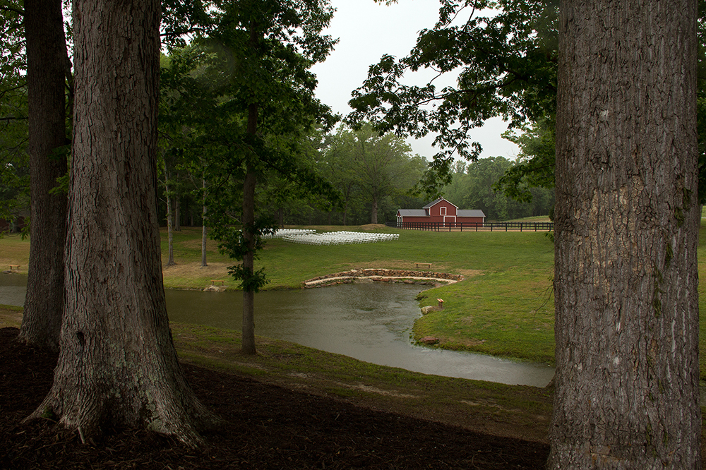 The Farm